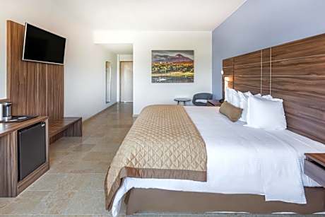 Executive Room 1 King