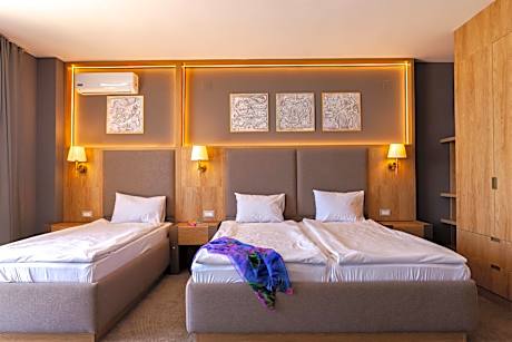 Deluxe One-Bedroom Apartment
