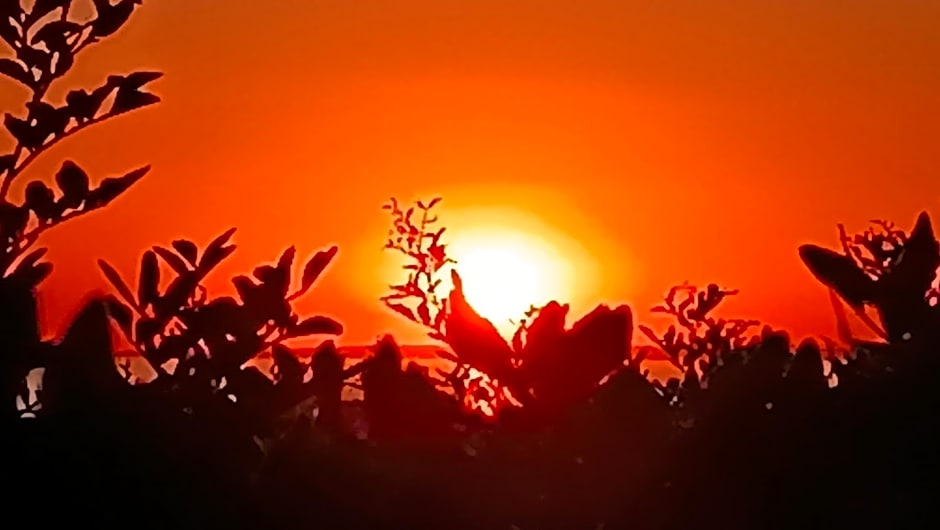 Il giardino dei tramonti