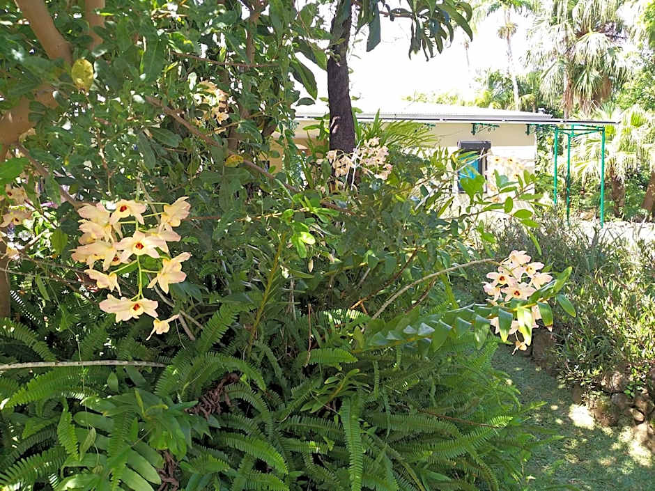 Poivre et Citronnelle