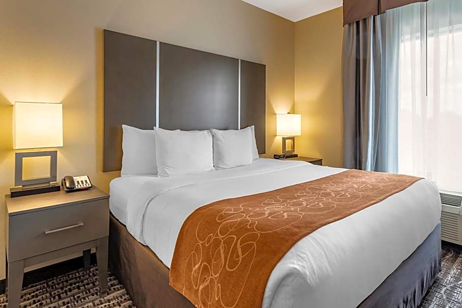 Comfort Suites Near Sam Houston Race Park