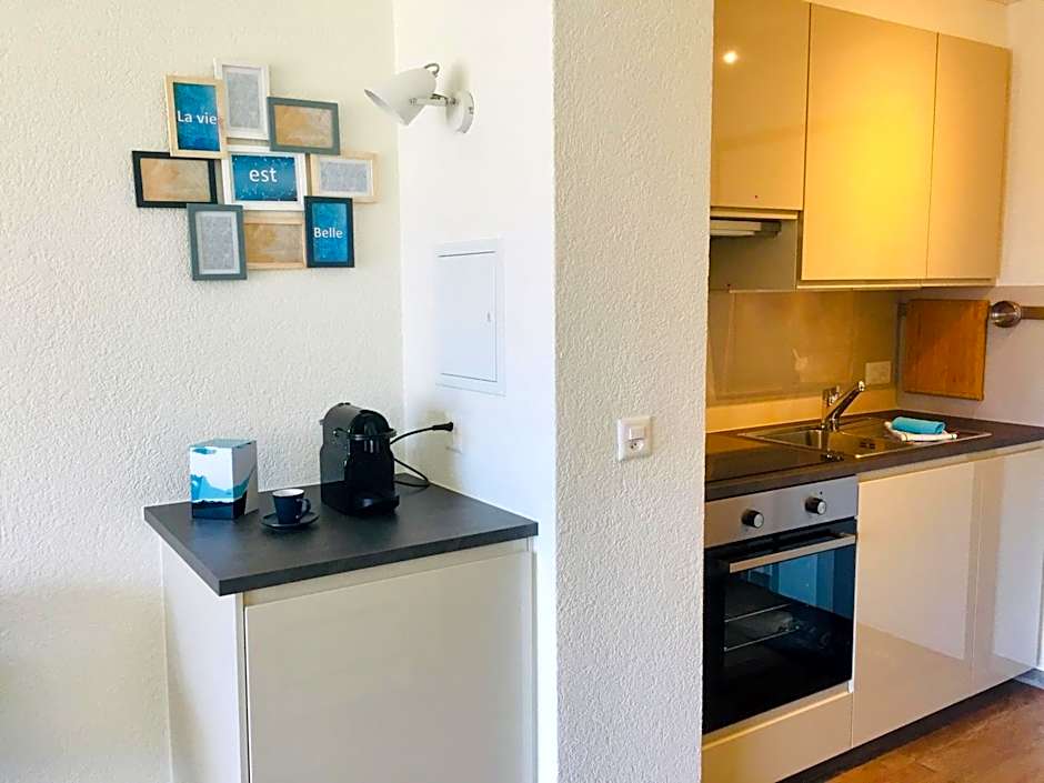 Studios & Appartements famille - Saillon Evasion