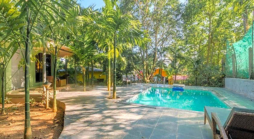 Silvanus Forest Retreat