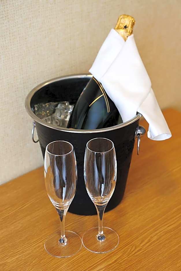 Hotel Reykjavík Centrum