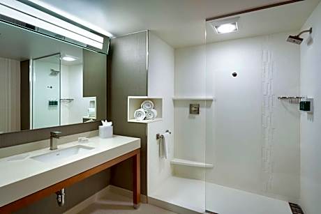 Room, 1 King Bed with Sofa bed (Hearing Accessible) (1 King Bed and 1 Double Sofa Bed)