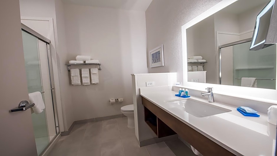 Holiday Inn Express & Suites Dripping Springs - Austin Area By IHG