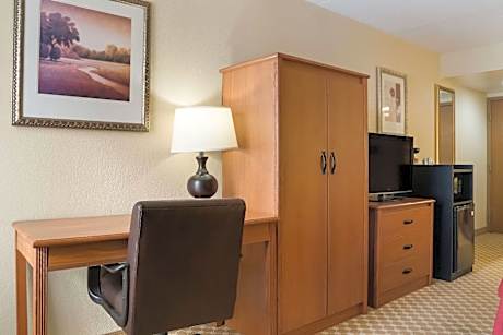 King Suite with Sofa Bed - Non Smoking