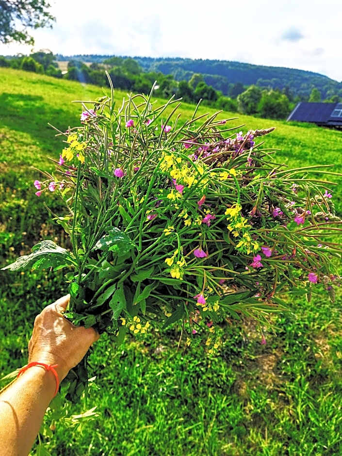 Pokoje goscinne u Olguni