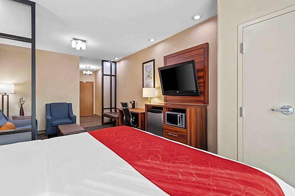 Comfort Suites Roswell