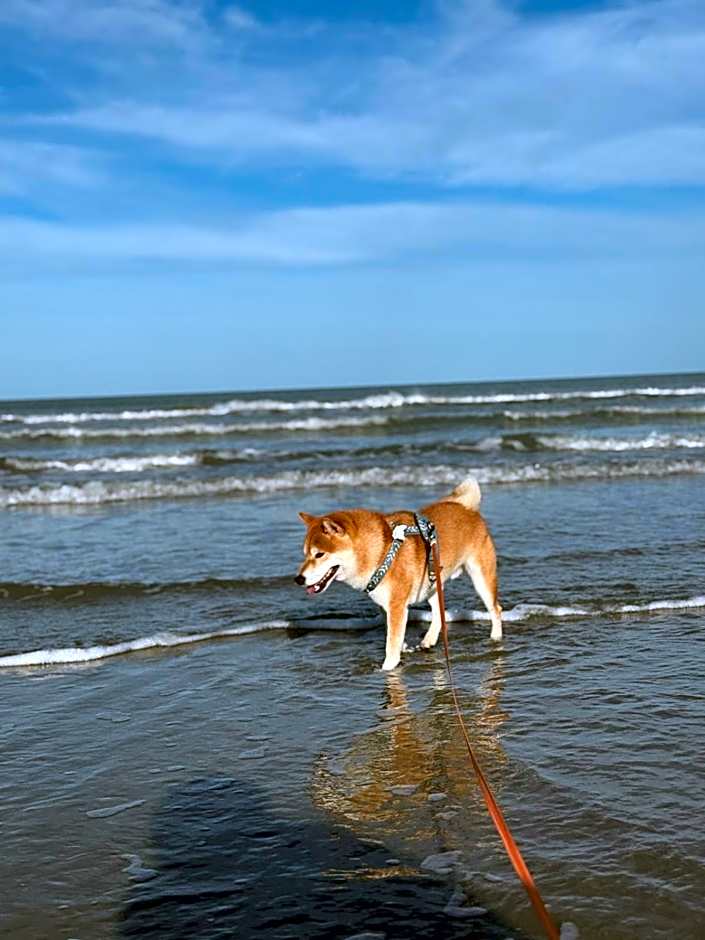 G House Rimini Spiaggia
