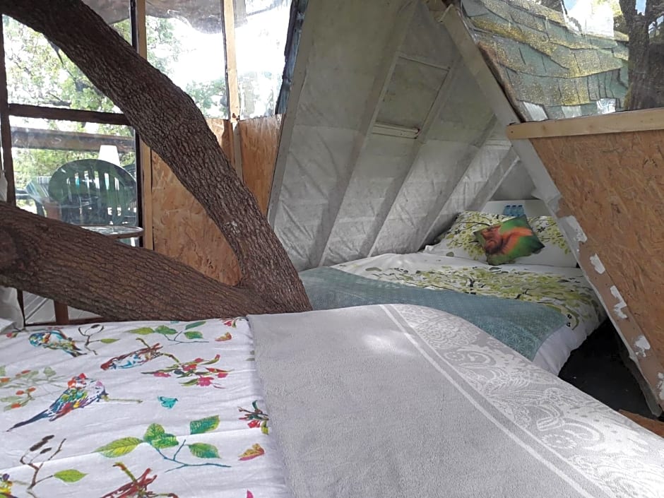 B&B La Cabane Insolite