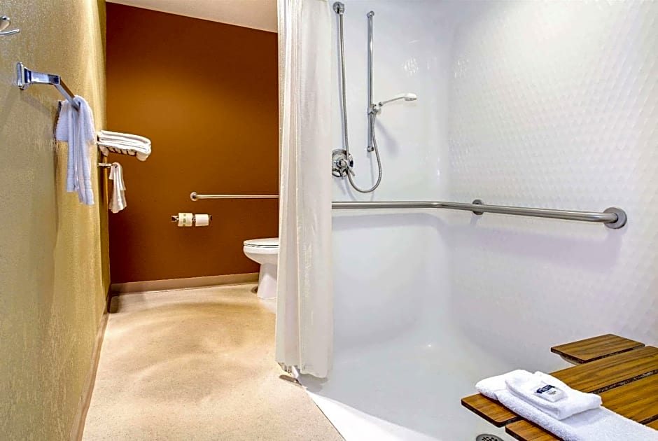 Microtel Inn & Suites by Wyndham Mason