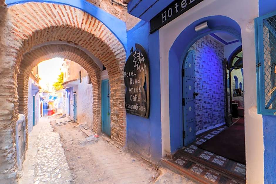 Riad Antek