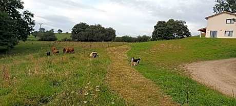 La Bocarona (Villa Cantabra)