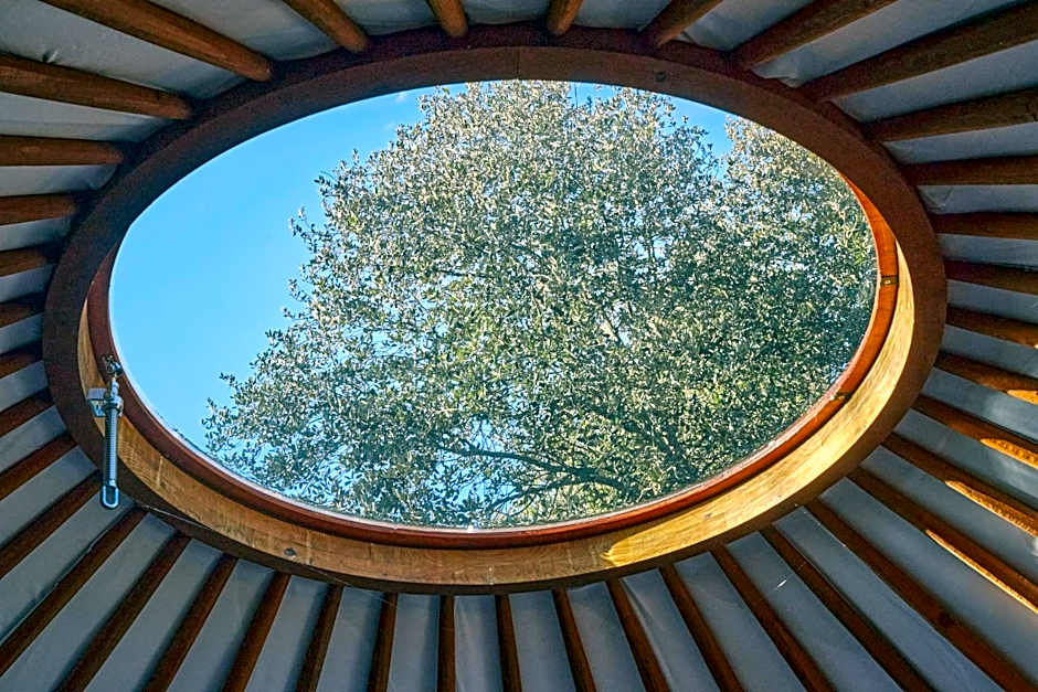 Ecolodges en Provence