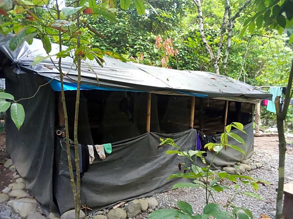 Jungle treking & Jungle Tour if you want to stay here,you must book treking only with us