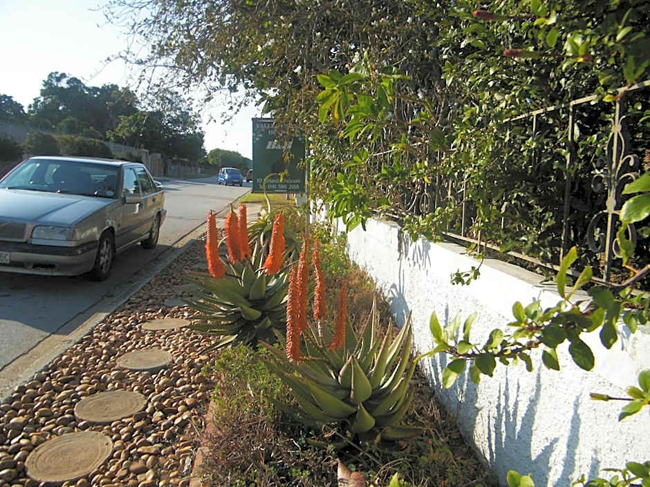 Valley Guest House