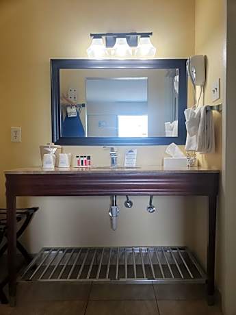 King Room with Roll-In Shower - Mobility/Hearing Accessible - Non-Smoking