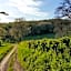 B&B Vouwere