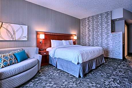 Standard Room, 1 King Bed with Sofa bed (Mobility/Hearing Access, Roll-In Shwr)