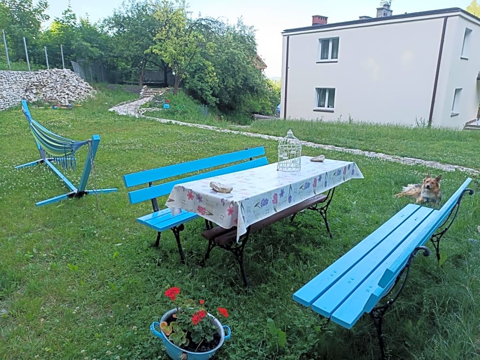 Willa Bona blisko Zamku Królewskiego i Rezerwatu zapraszam na grę miejską Magiczne Chęciny