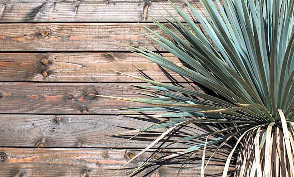 Le Lodge des Îles d'Or