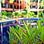 Nova Park Hotel Pattaya