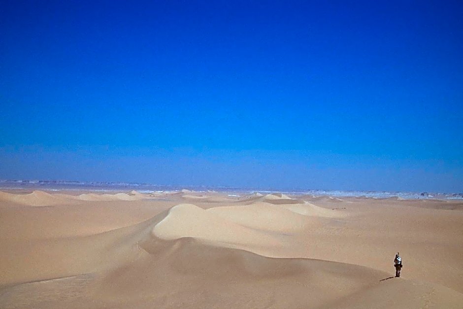 Western Desert Hotel & Safari