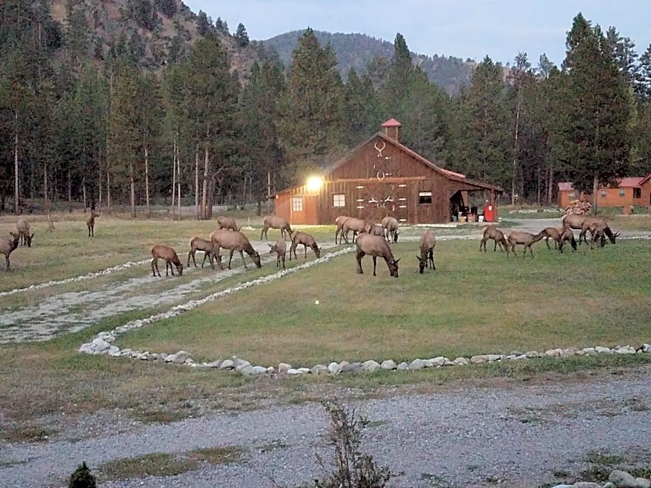 The Wild Game Inn