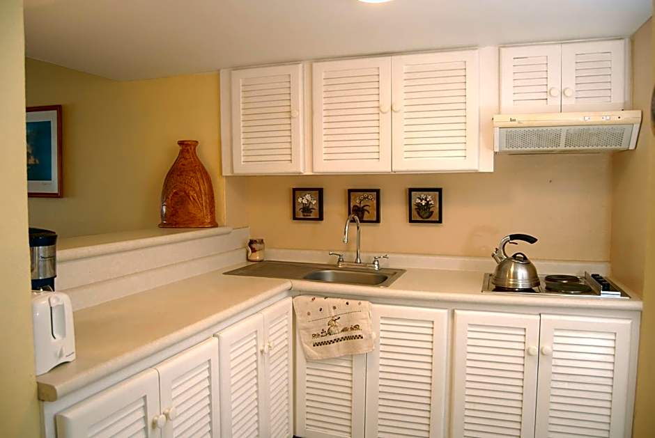 ENNA INN IXTAPA DEPARTAMENTOS ViSTA AL MAR