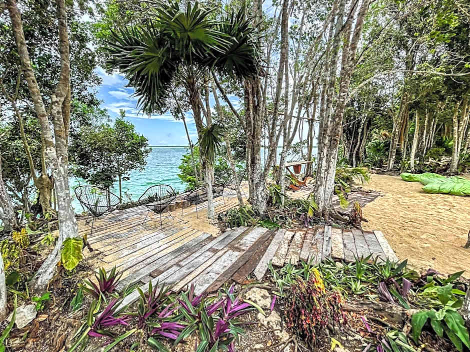 Bufo Alvarius Sanctuary Bacalar