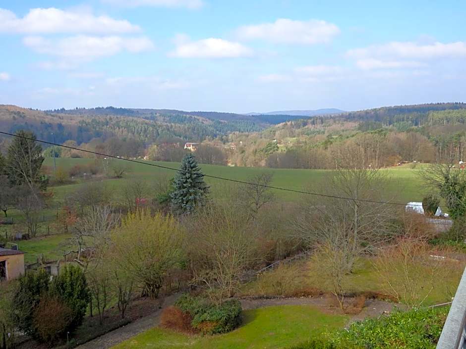 Hotel-Pension Schlossgarten