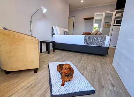 Standard Queen Room - Pet Friendly