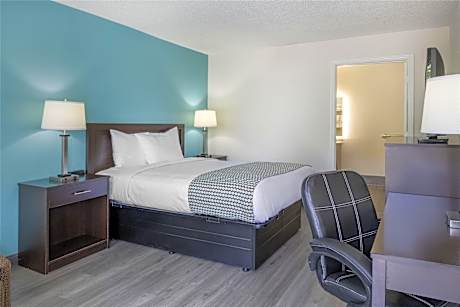 Accessible - 1 Queen Mobility Accessible Roll In Shower Coffee Maker Microwave And Refrigerator Non-