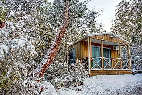 Bed in 4-Bed Female Dormitory Room with shared facilities