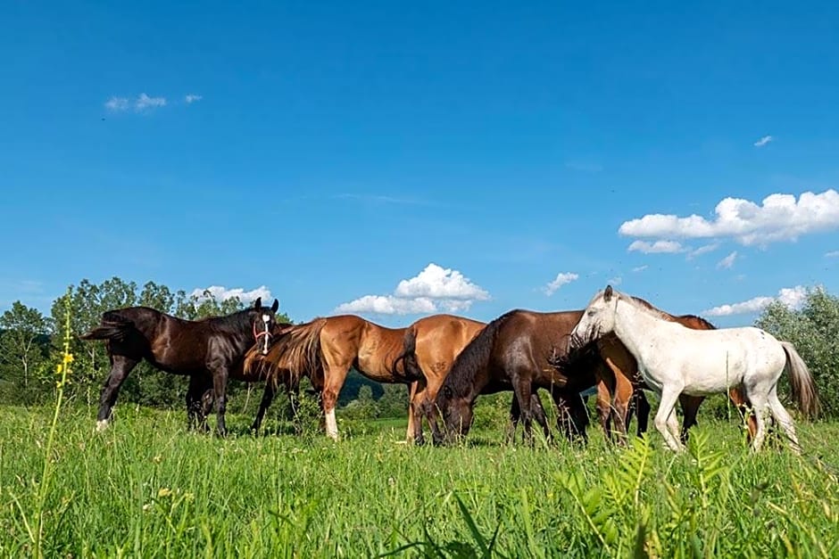 Alsószuhai Dűlő Vendégház És Rendezvényterem