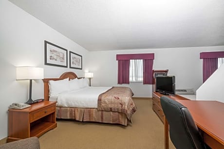 1 King Bed Deluxe Studio Suite Non-Smoking