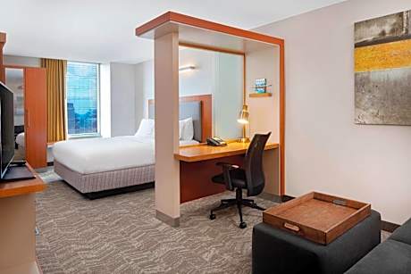 SpringHill Suites by Marriott Indianapolis Downtown