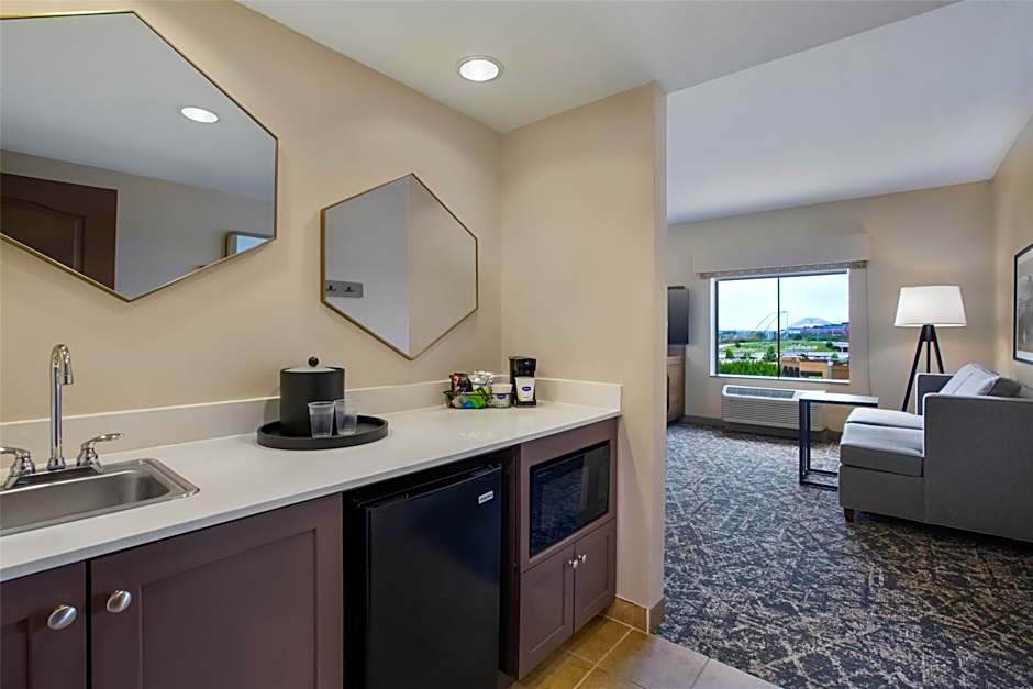 Hampton Inn By Hilton & Suites Dallas-Arlington North-Entertainment Dist.