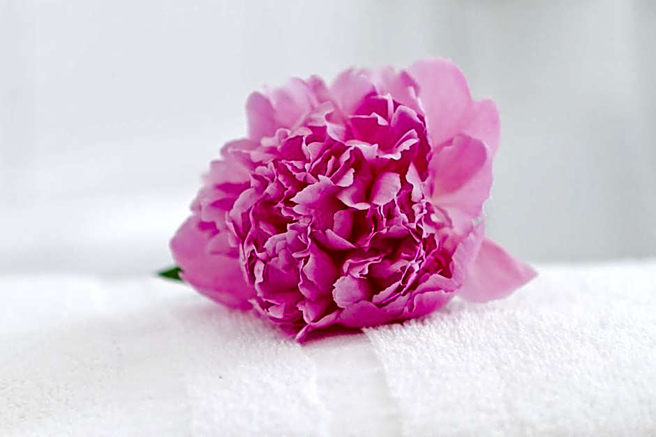 Hotel zum Goldenen Löwen