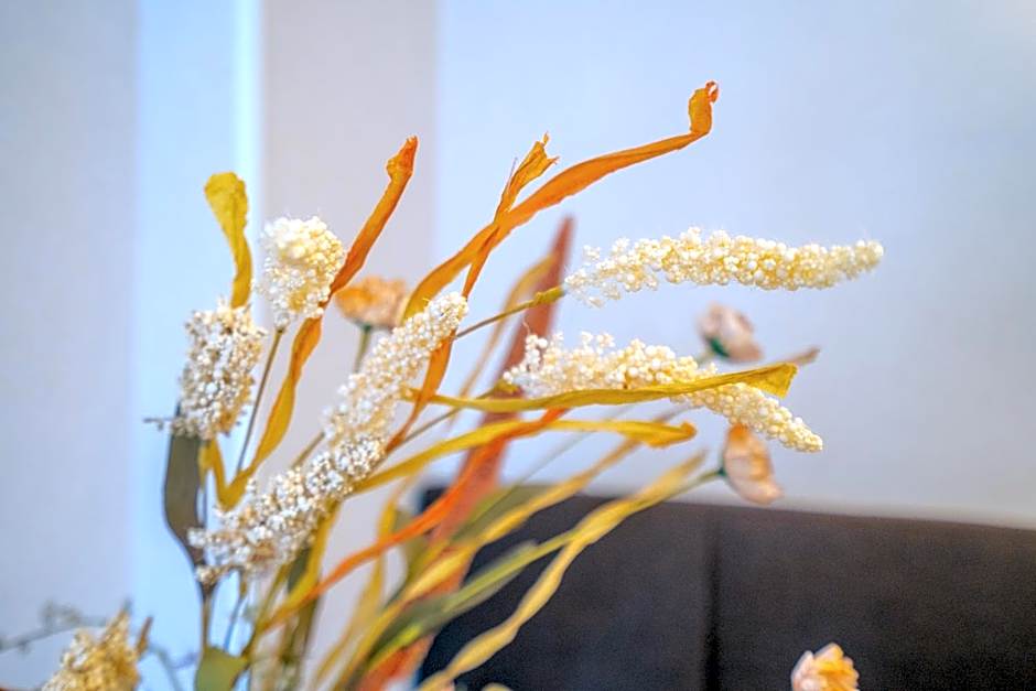 Dinya Lisbon Hotel & Lounge Bar