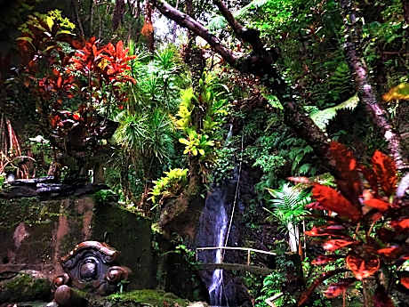 ゲストハウスみづき【龍神の滝がある宿】