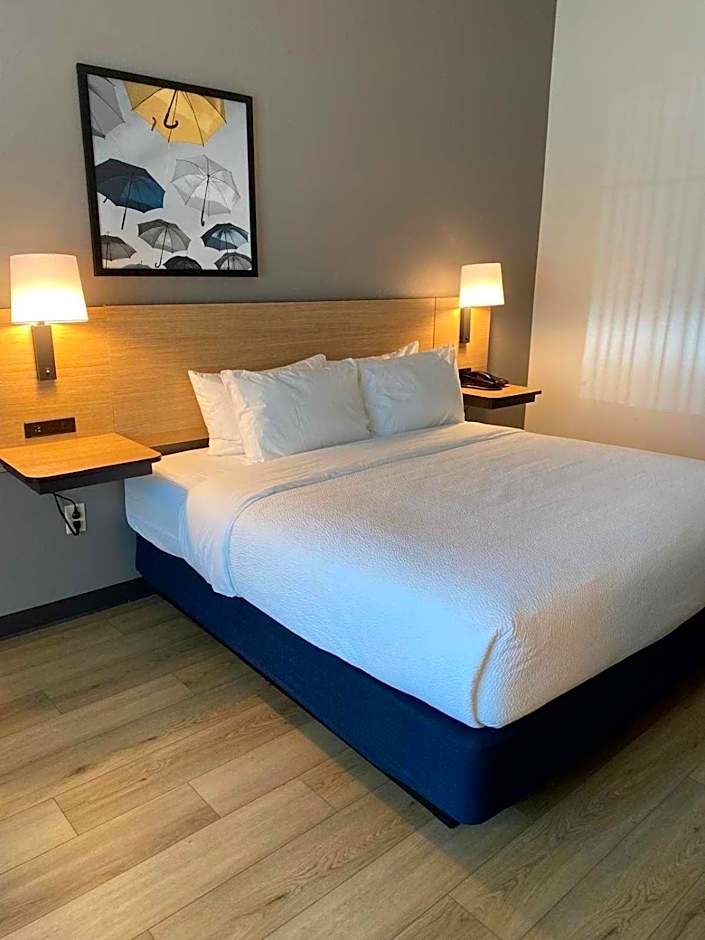 City Express by Marriott Spring