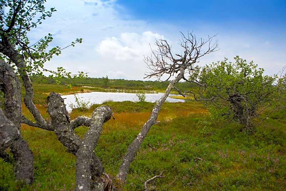 Fulufjällsgården