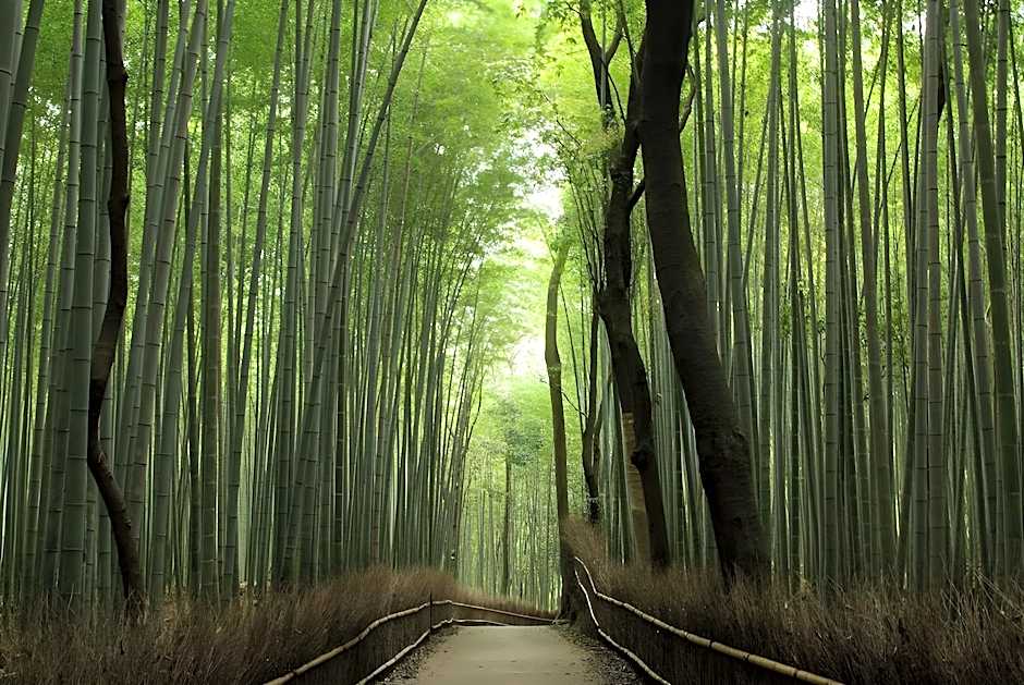 The GrandWest Arashiyama