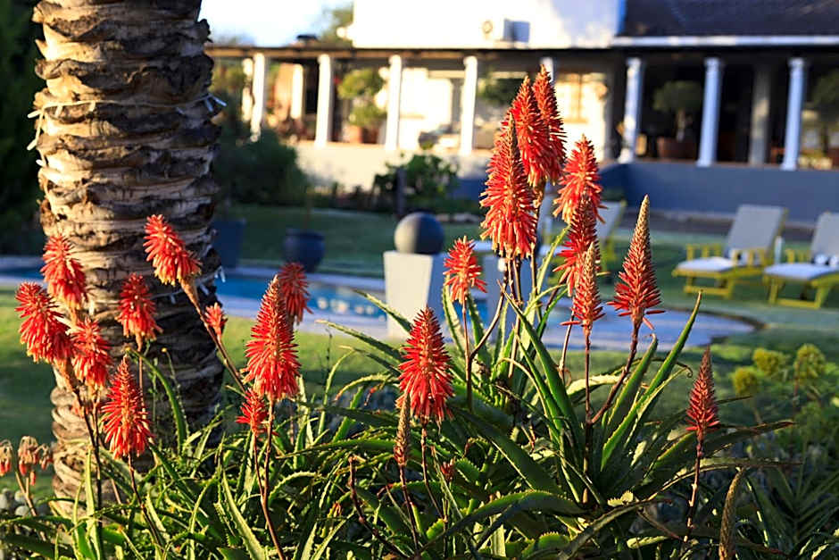 Thylitshia Villa Country Guest House