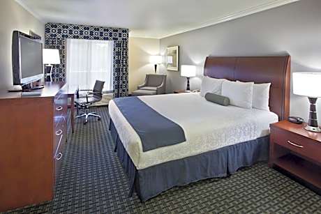 Large King Room with Roll-In Shower - Mobility Accessible