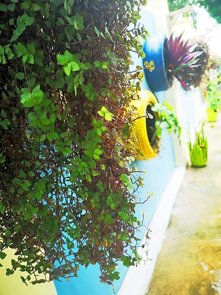 Green's Hostel Nungwi