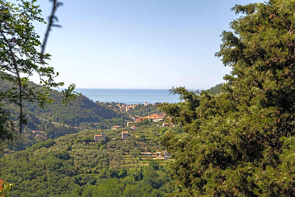 Pietrantica - Affittacamere con giardino NUOVA APERTURA a Trebiano -CITR