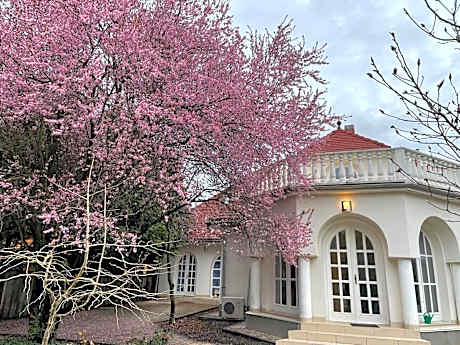 Superior Family Room